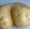 potatofucker92