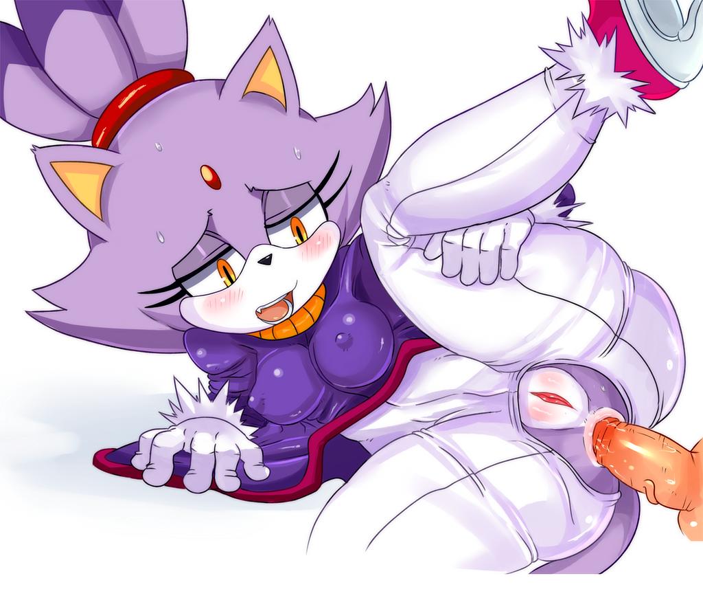 Blaze the Cat