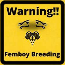 FEMBOY TESTING ZONE!