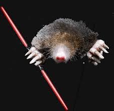 Mole