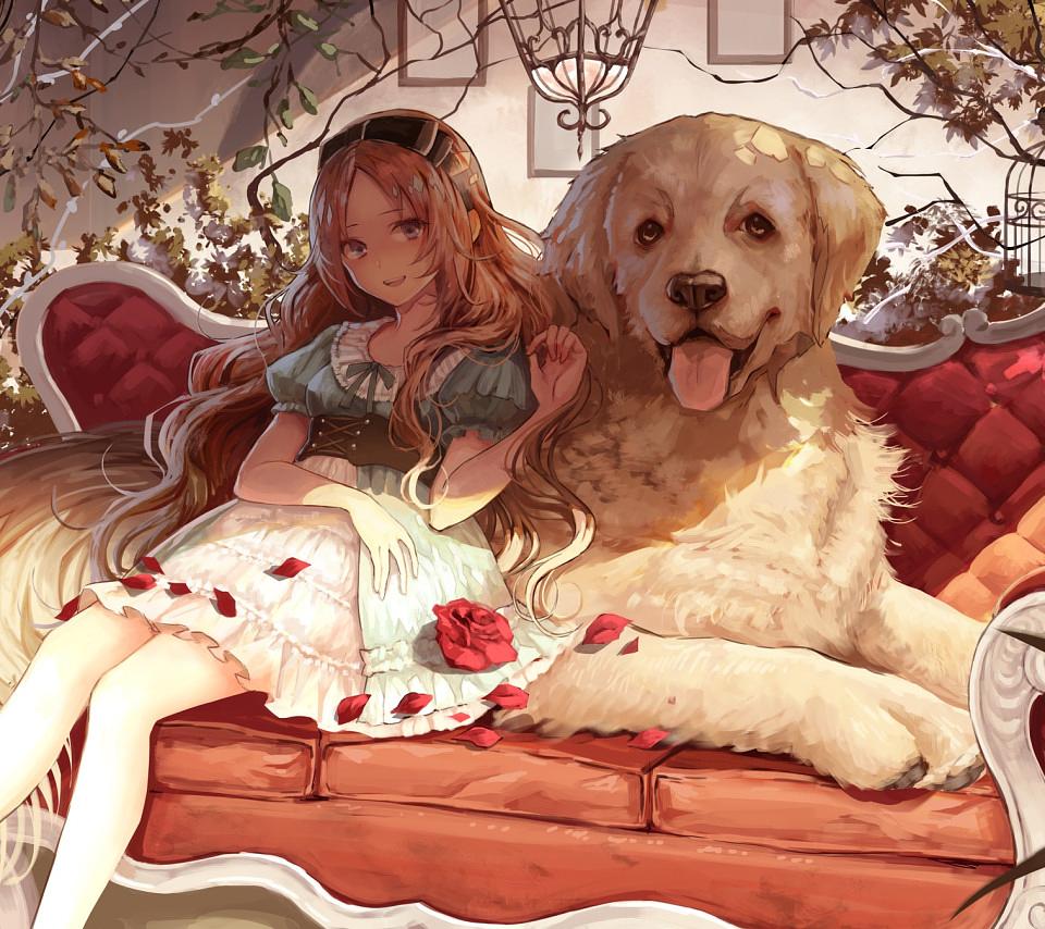 Dog Life