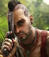 Vaas