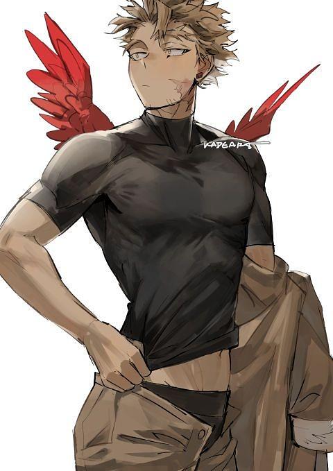 Hawks (Keigo)