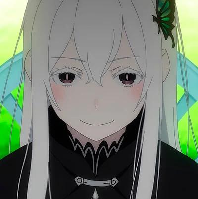Echidna